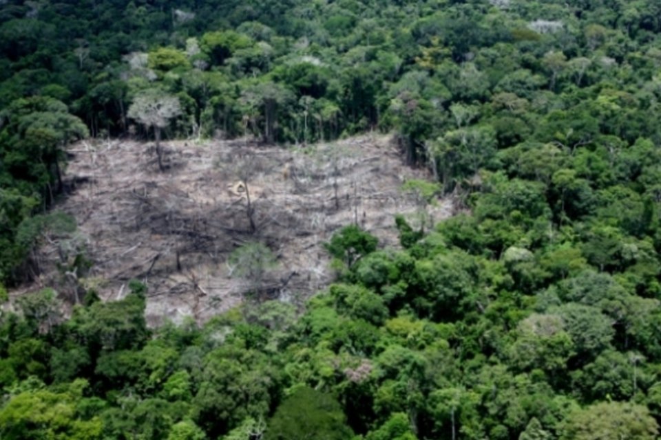 Desmatamento prejudica metas para conter mudança climática, mostra relatório