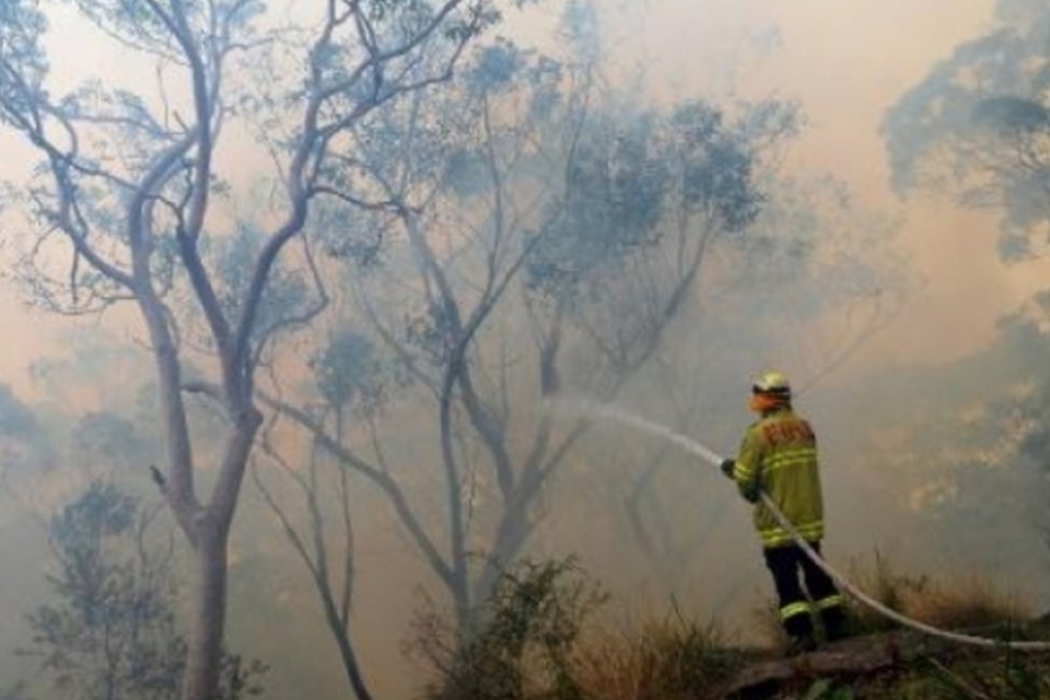 ONU destaca vínculo entre incêndios florestais e aquecimento global