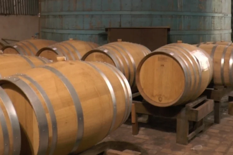 Cachaça (Agência FAPESP)