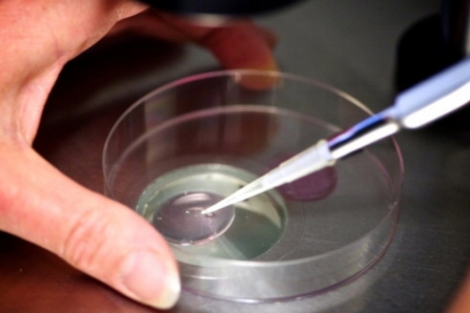 Fertilização 'in vitro' com três pais está em debate nos EUA