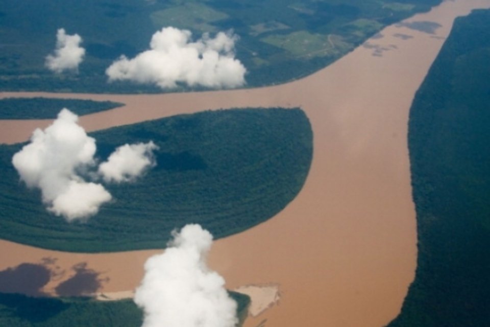 Desmate na Amazônia sobe 290% em setembro