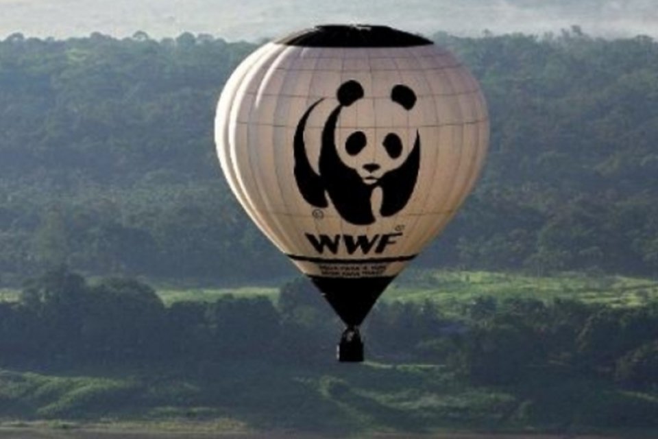 'Verdade incômoda' sobre relatórios do IPCC, afirmam ONGs