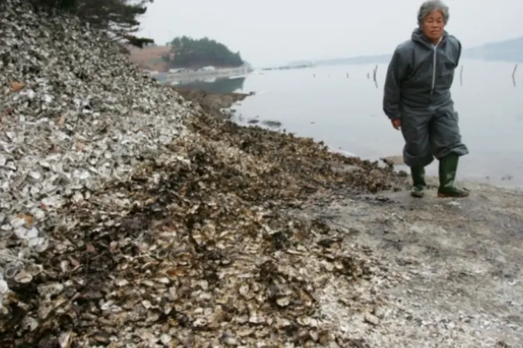 Acidente Ambiental (Chung Sung-Jun/Getty Images)