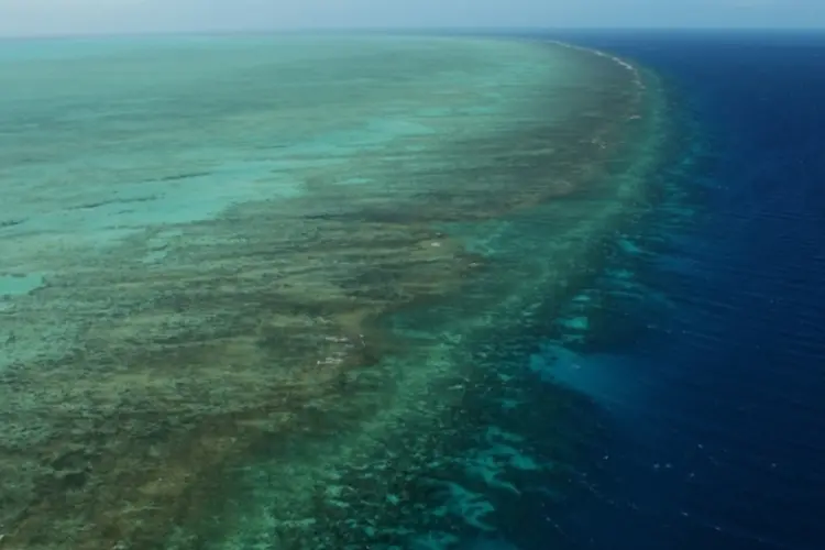 corais (Getty Images)