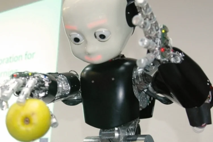 iCub  (Instituto Italiano de Tecnologia (IIT))