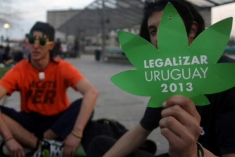 maconha (Getty Images)