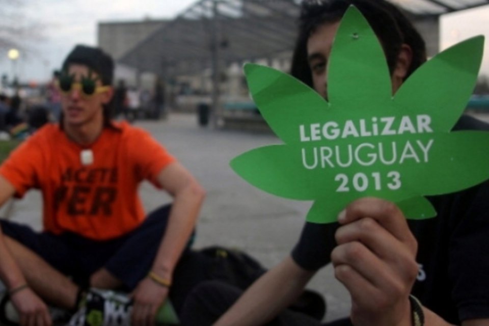 Deputado se preocupa com legalização da maconha no Uruguai