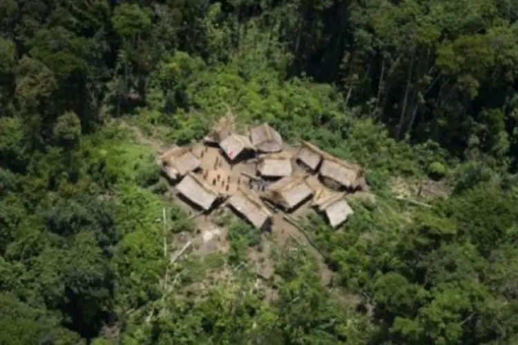 amazonia (afp.com / Leo Ramírez)