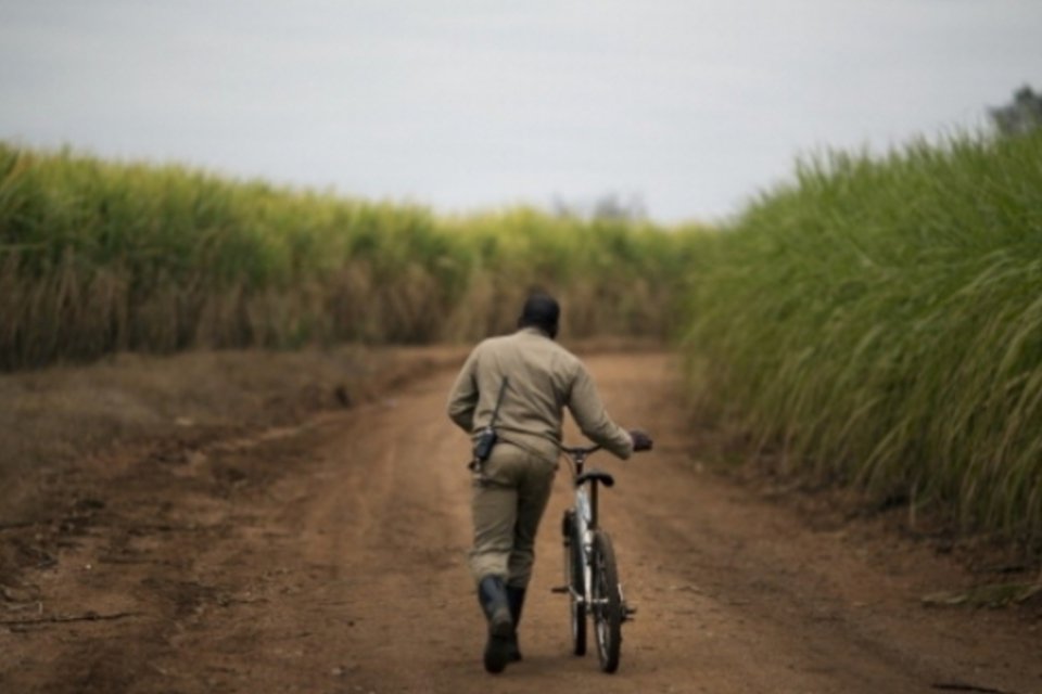 Etiópia expulsa moradores para plantar cana-de-açúcar
