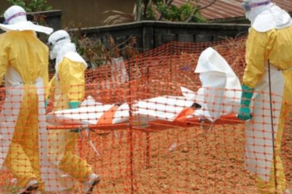 Ebola causou 337 mortes em três países africanos