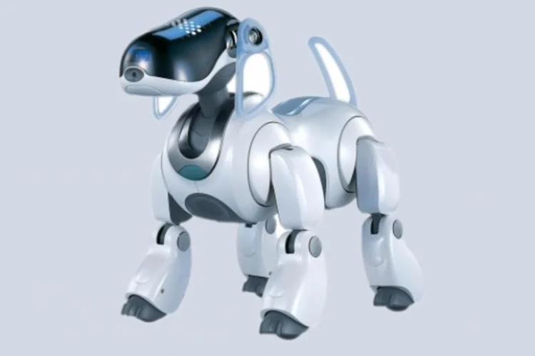 AIBO (Divulgação)