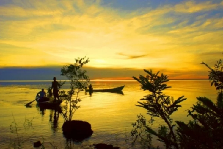 Amazonia (Reprodução)