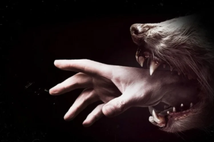 Hemlock Grove (Divulgação)