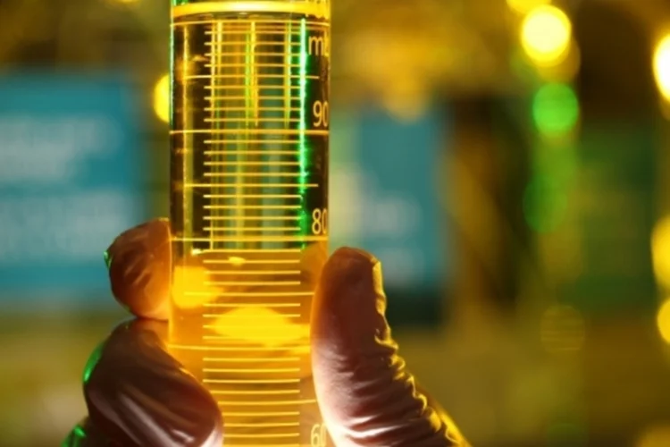 laboratorio-petroleo