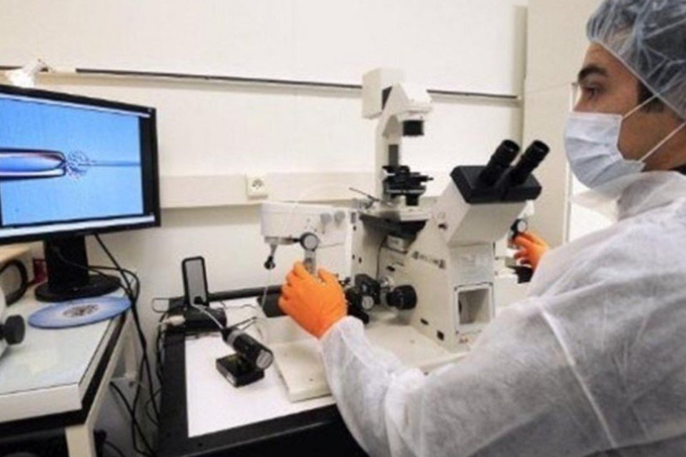 Japão autoriza testes clínicos com células-tronco iPS