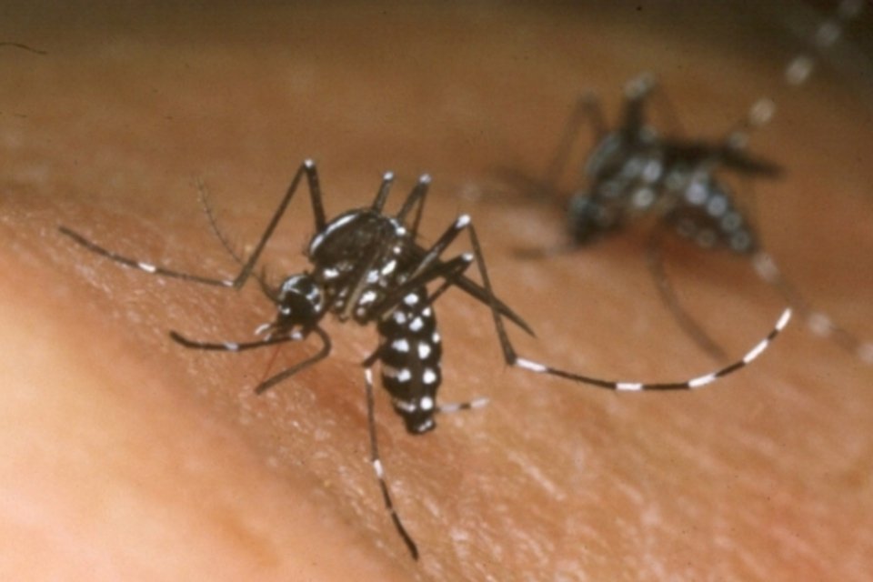 Vacina para dengue da Sanofi é promissora, mas dúvidas permanecem