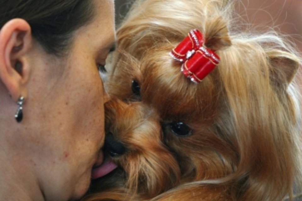 O cachorro está cada vez mais humano, diz estudo
