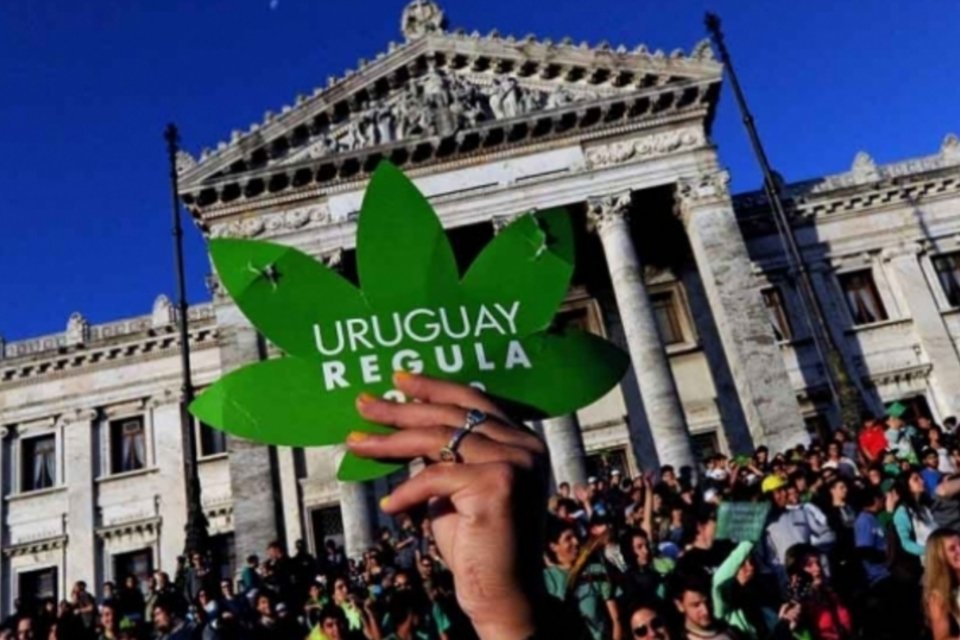 Na Argentina, cresce apreensão de maconha vinda do Uruguai