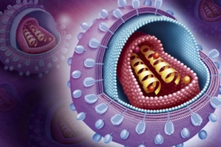 virus (Getty Images)
