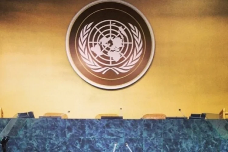 ONU (Reprodução)