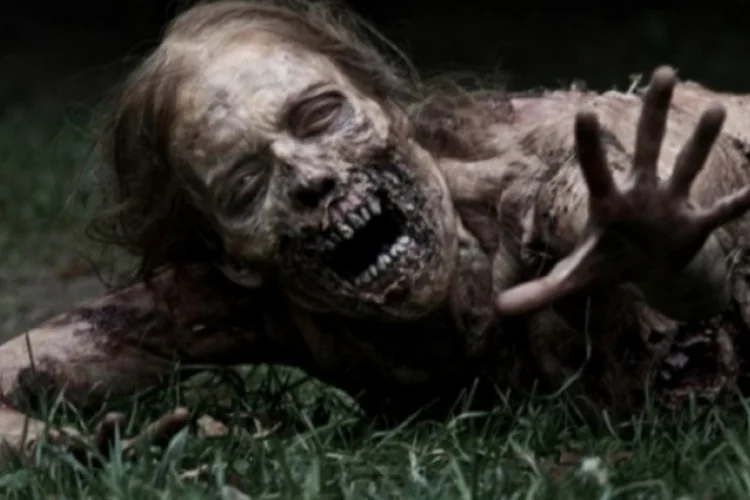 zumbi (Divulgação)
