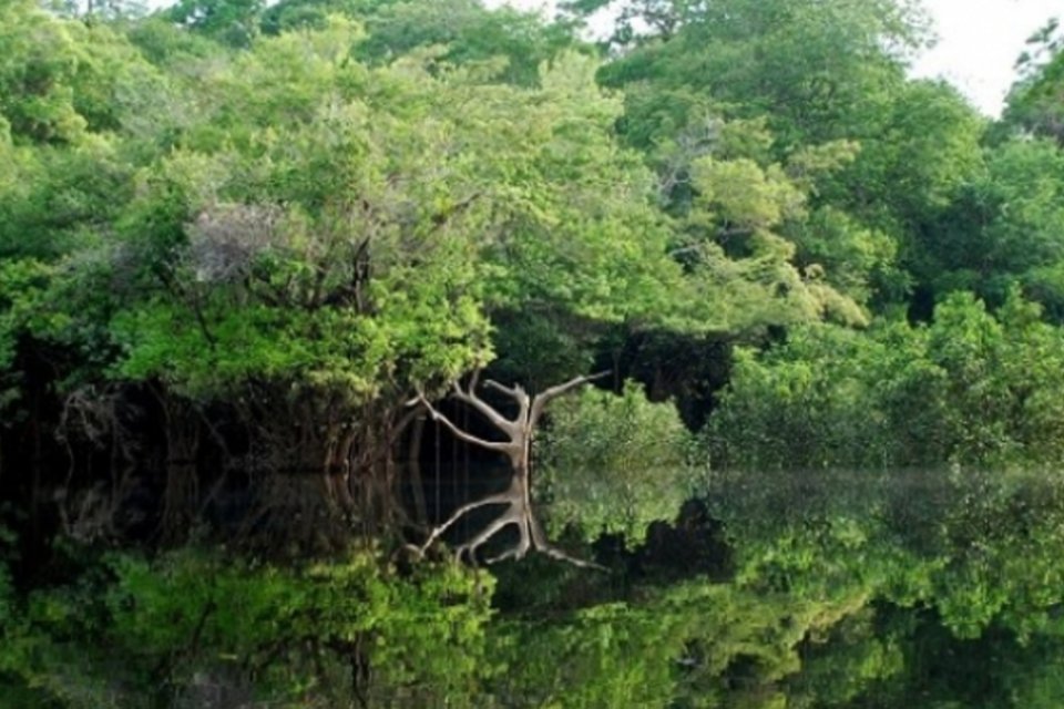 Ribeirinhos da Amazônia apostam na pesca sustentável