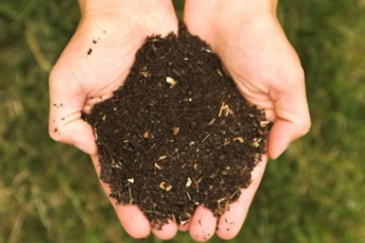 O sistema da Carrot.eco, baseado em blockchain, foi integrado à logística da Tera Ambiental, garantindo que cada lote de resíduos tenha um histórico verificável (Wikimedia Commons)