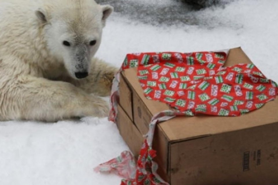 Amazon diz estar mais preocupada com neve do que greves