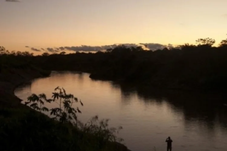 Amazônia (EFE)