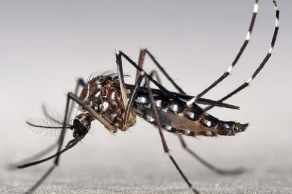 Campinas tem mais uma morte por dengue confirmada