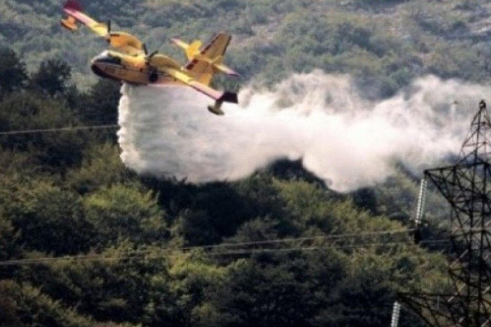 Incêndios destroem 40 mil hectares de floresta em Portugal