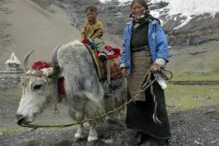 tibetanos