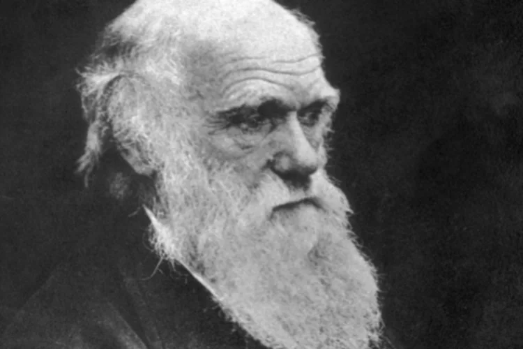 Charles Darwin revolucionou a ciência ao propor que todas as espécies evoluem por meio da seleção natural, alterando a forma como entendemos a vida na Terra (Getty Images/Reprodução)