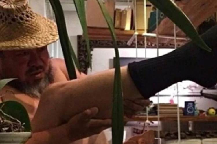 Ai weiwei (Reprodução/Instagram)