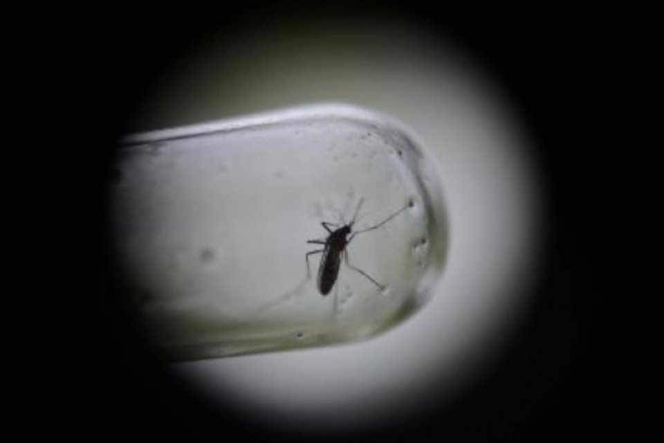 Dengue registra forte avanço em uma década na América Latina