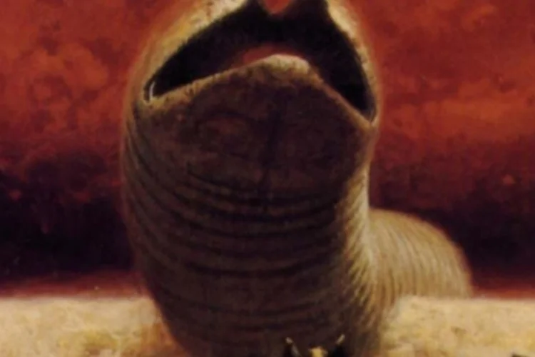 sandworm (Reprodução)