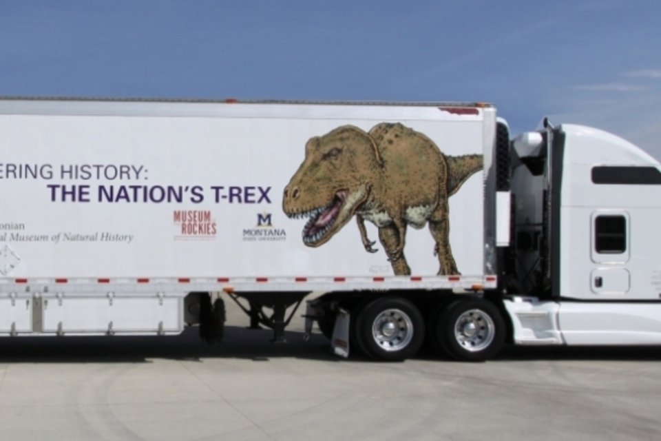 Raro esqueleto de Tiranossauro Rex viaja pelos EUA
