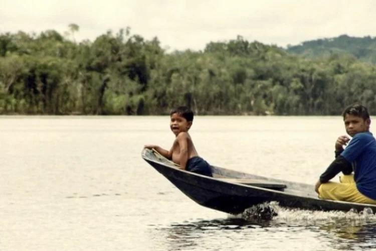Amazonia (Photo Pin)