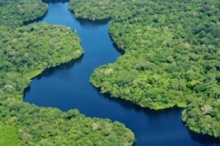 amazonia (Reprodução)