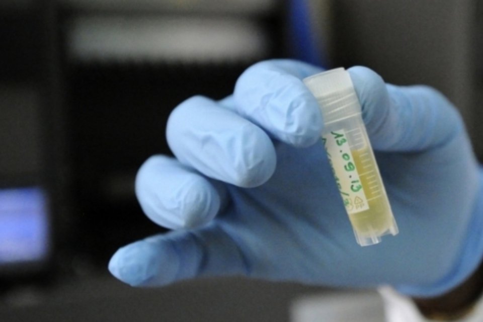 Decodificação do DNA do gafanhoto abre vias para combate à praga