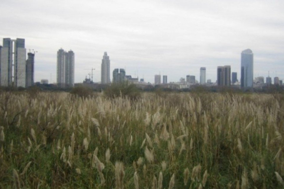 Incêndio afeta principal reserva ecológica de Buenos Aires
