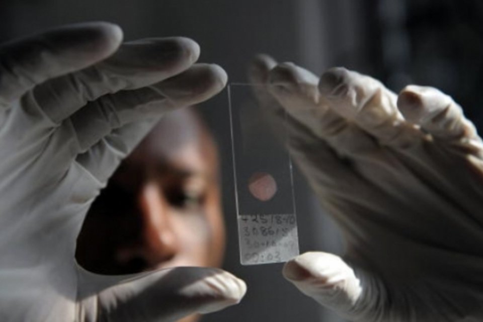 GSK pedirá autorização para primeira vacina contra a malária