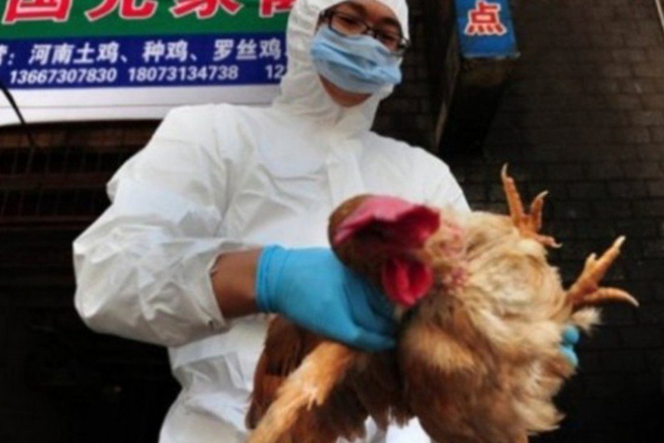 Gripe H7N9 mata 44 pessoas na China