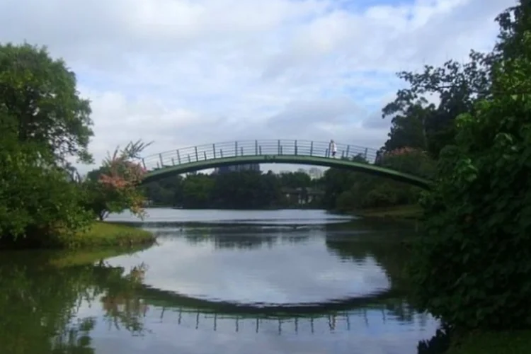 Parque Ibirapuera (Wikimedia Commons)