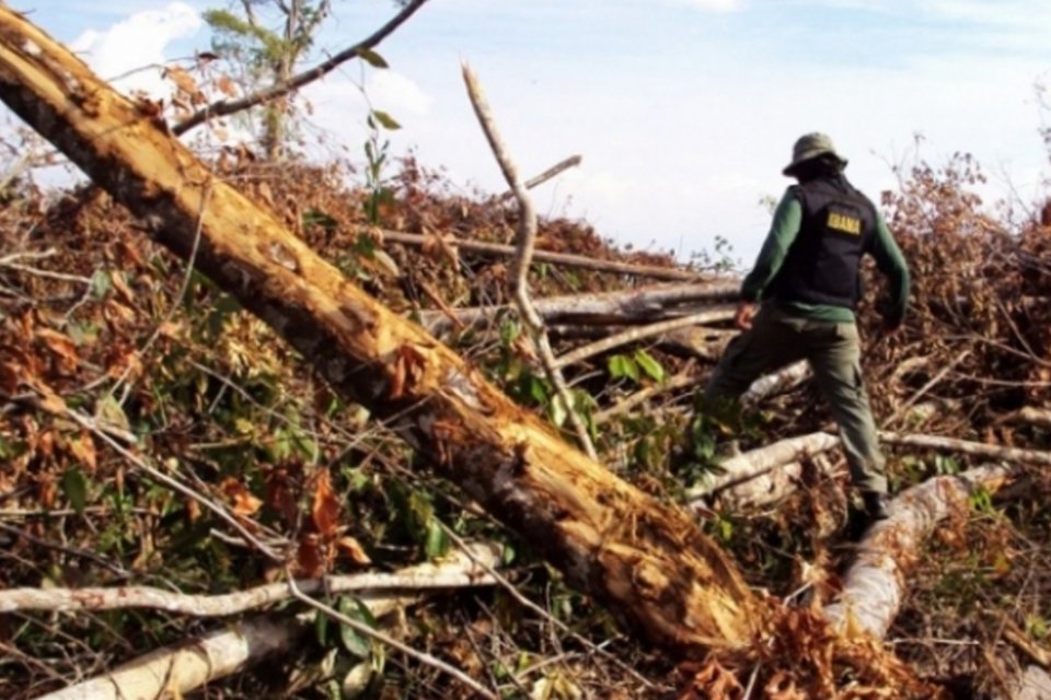 Amazônia acumula 762 mil km² de desmatamento em 40 anos, diz estudo