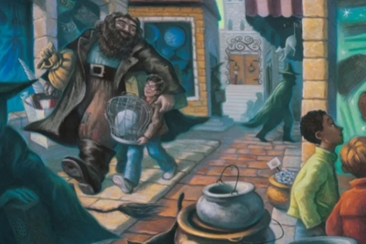 Harry Potter (Reprodução)