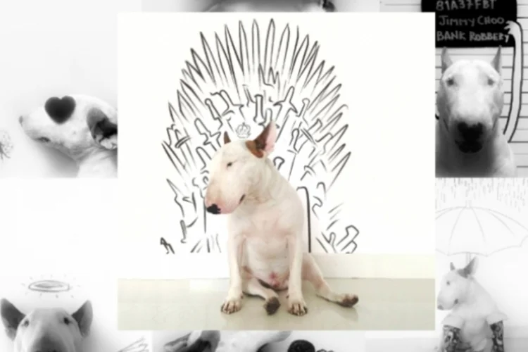 Jimmy of Thrones (Reprodução/Instagram)