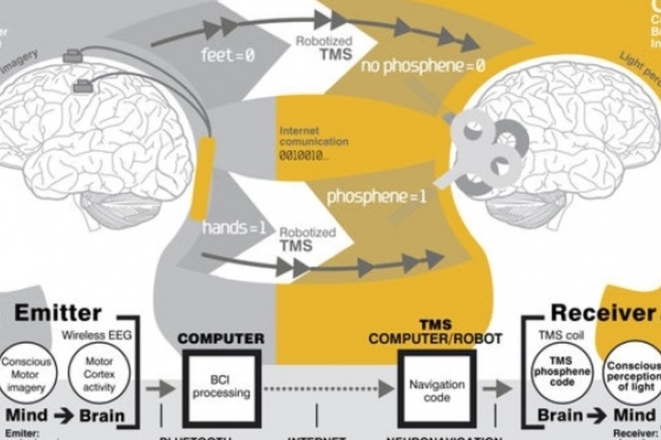 Telepatia? Experimento conecta cérebros a 8 mil km de distância