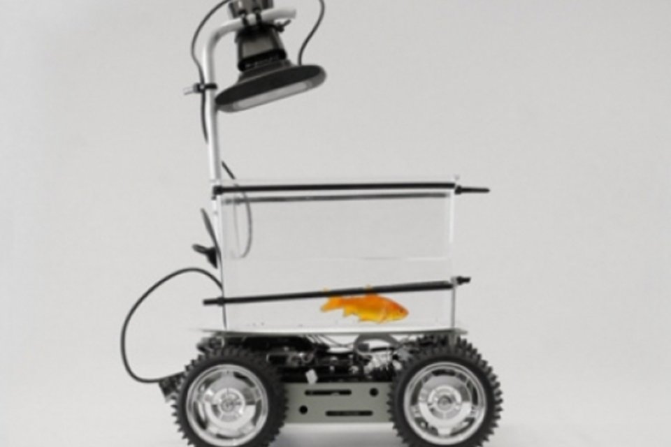 Aquário sobre rodas pode ser dirigido por peixe dourado