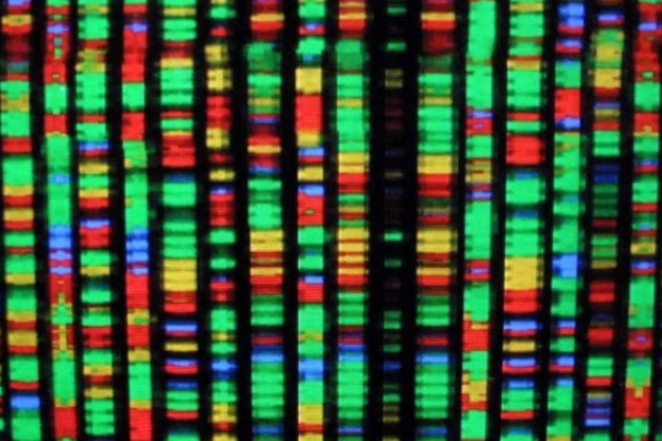 Descoberto novo gene responsável por alterações cardíacas e morte súbita